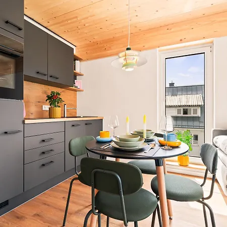 Apartment Einzimmer Wohlfuehlapartment Drei Klimatisiert Friedrichshafen