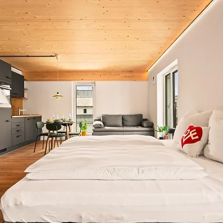 Einzimmer Wohlfuehlapartment Drei Klimatisiert * Friedrichshafen